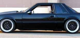 notchback